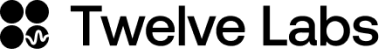 Twelve Labs